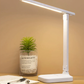 Foldable LED Desk/Table Lamp