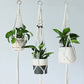 Macrame Plant Hanger