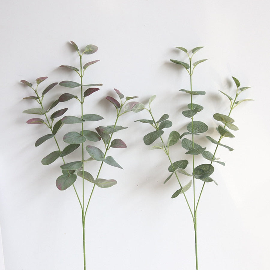 Floral Collection - Eucalyptus