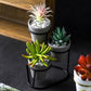 3 Tiered Mini Succulent Pots