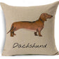 The Watercolour Dachshund Collection