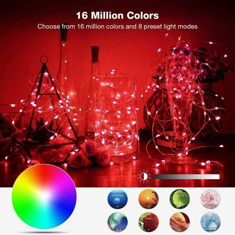 Smart LED Christmas Lights